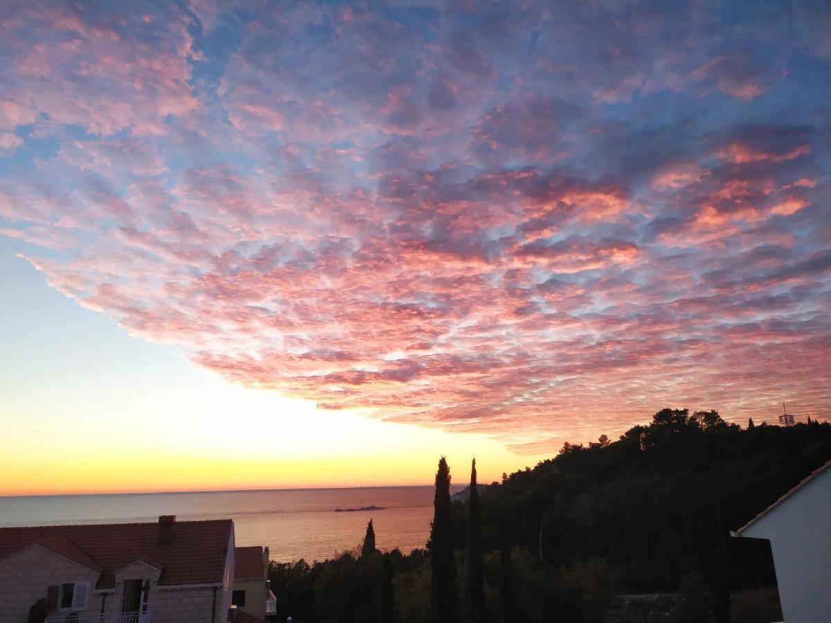 Appartamento Honey Bee Cavtat Esterno foto