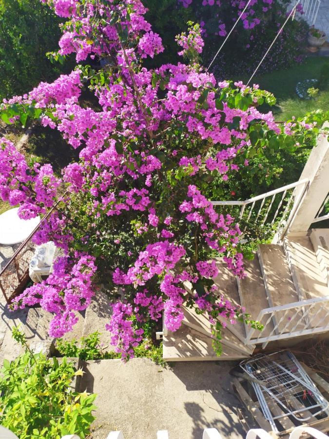 Appartamento Honey Bee Cavtat Esterno foto